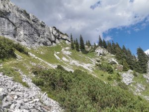 Rakousko Alpy - na treku v rozkvetlém pohoří Hochschwabu